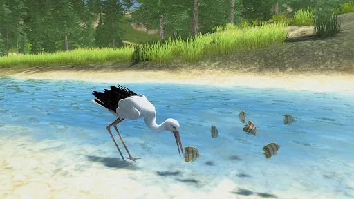 The White Stork ডাউনলোড করুন – সেরা বার্ড সিমুলেটর গেম - Screenshot 21