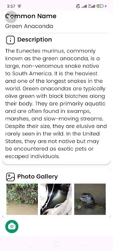 Snake Identifier ডাউনলোড করুন – সাপের নাম ও তথ্য জানুন - Screenshot 11
