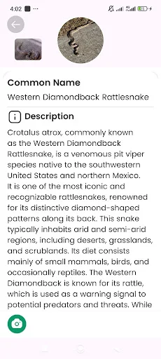 Snake Identifier ডাউনলোড করুন – সাপের নাম ও তথ্য জানুন - Screenshot 13