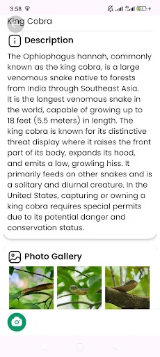 Snake Identifier ডাউনলোড করুন – সাপের নাম ও তথ্য জানুন - Screenshot 12