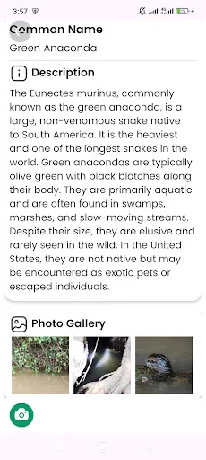 Snake Identifier ডাউনলোড করুন – সাপের নাম ও তথ্য জানুন - Screenshot 7